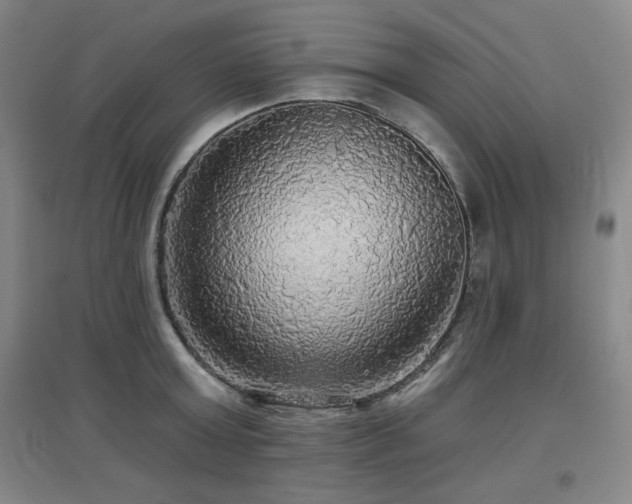 X0000097610803200802291301