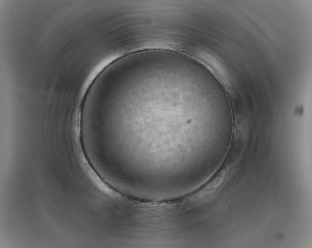X0000097610804200802291301