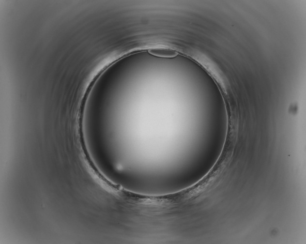 X0000097610805200802291300