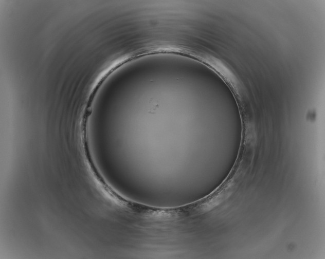 X0000097610806200802291300