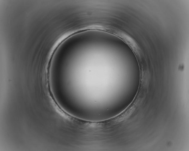 X0000097610808200802291300