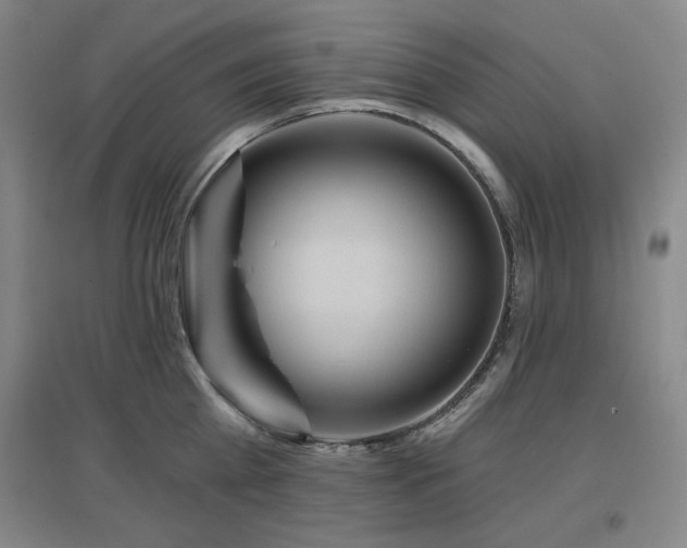 X0000097610809200802291300