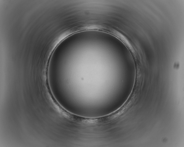 X0000097610810200802291300