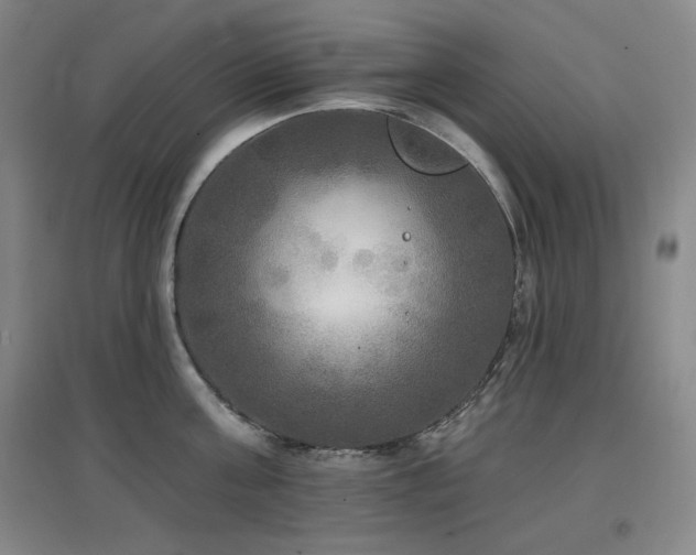 X0000097610811200802291300