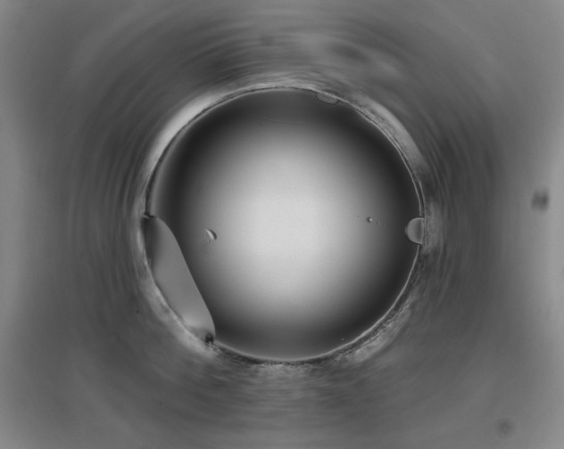X0000097610812200802291300