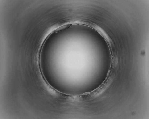 X0000097610813200802291300