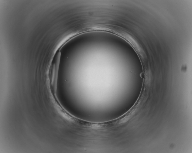 X0000097610814200802291300