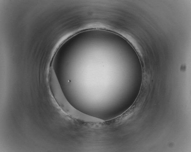 X0000097610815200802291300