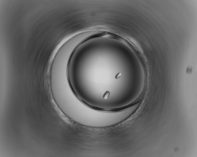 X0000097610816200802291300