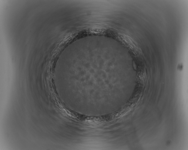 X0000097610817200802291300