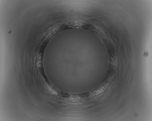X0000097610818200802291300