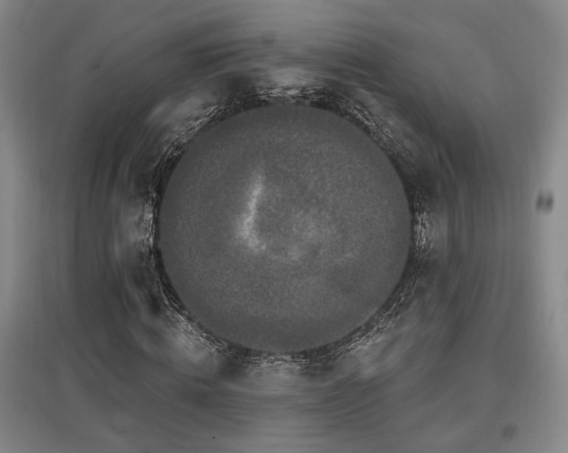 X0000097610820200802291300