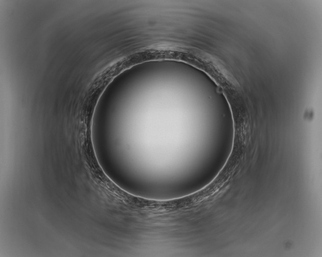 X0000097610821200802291300
