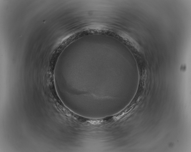 X0000097610822200802291300