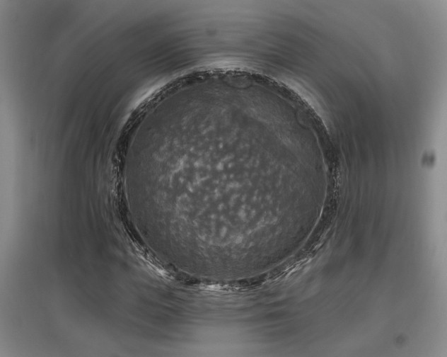 X0000097610823200802291300