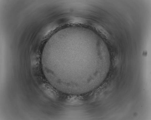 X0000097610824200802291300