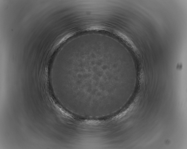 X0000097610825200802291300