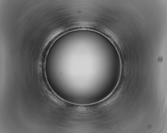 X0000097610827200802291300