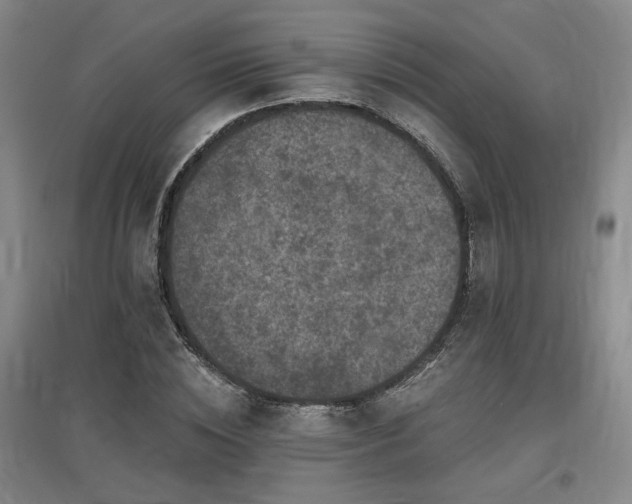 X0000097610828200802291300