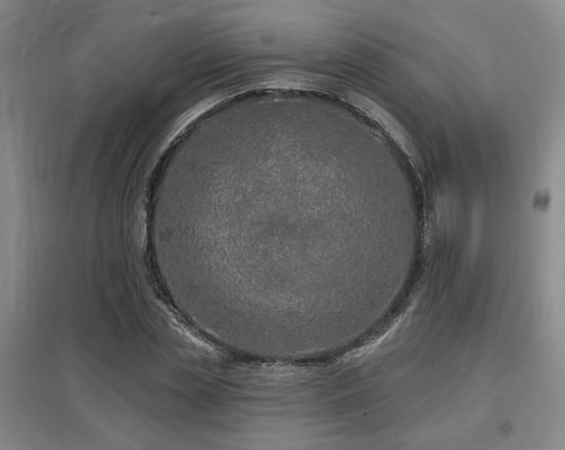 X0000097610829200802291300