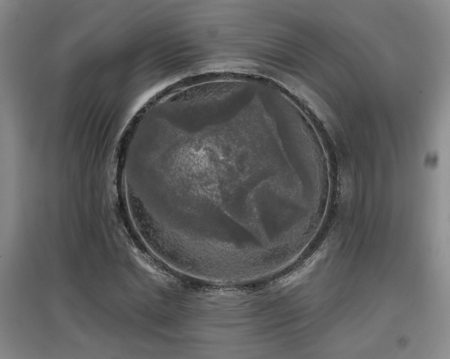 X0000097610830200802291300