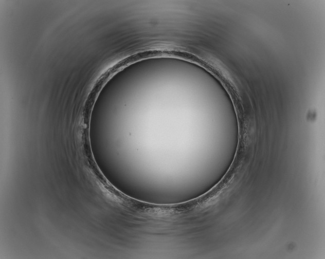 X0000097610831200802291300