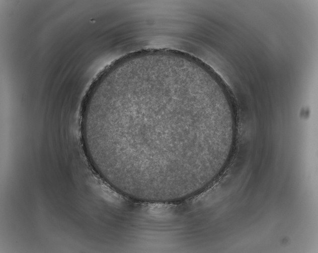 X0000097610832200802291300