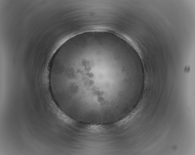 X0000097610835200802291300