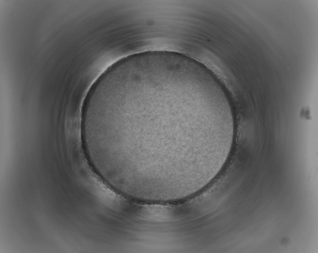 X0000097610836200802291300