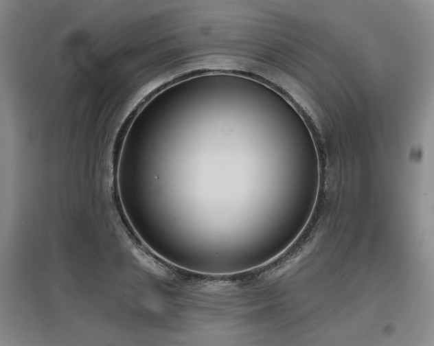 X0000097610837200802291300