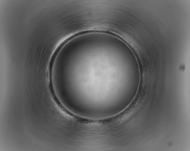 X0000097610838200802291300