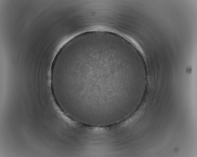 X0000097610839200802291300