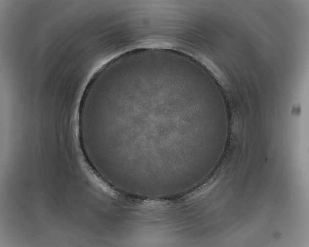 X0000097610840200802291300