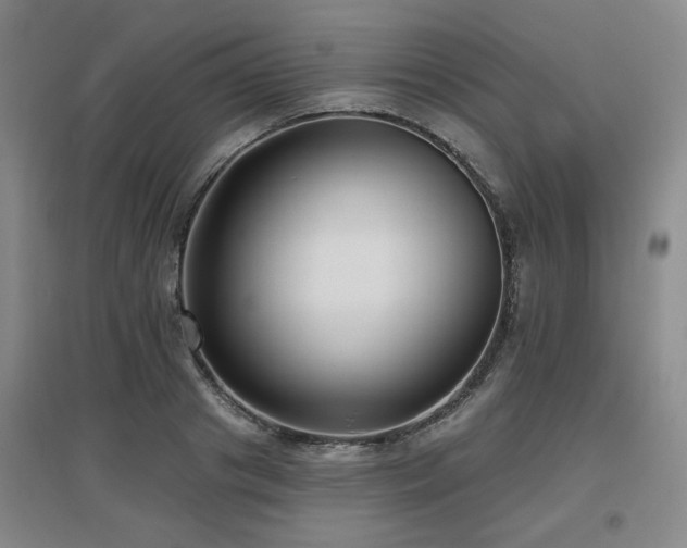 X0000097610841200802291300