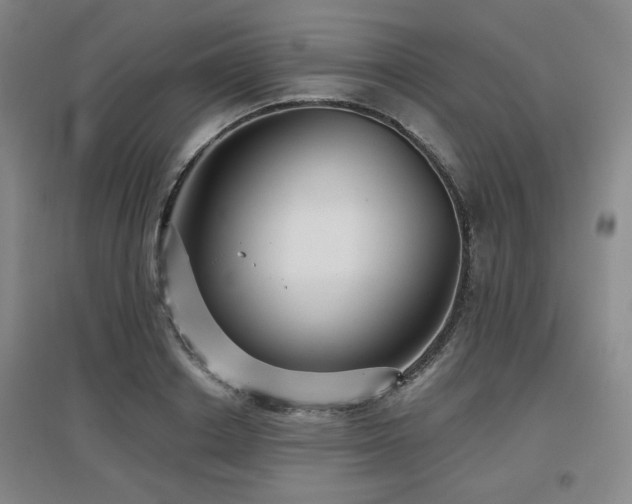 X0000097610842200802291300
