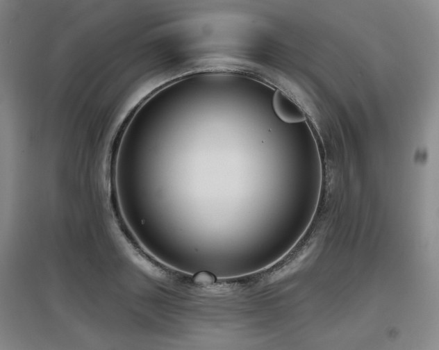 X0000097610843200802291300