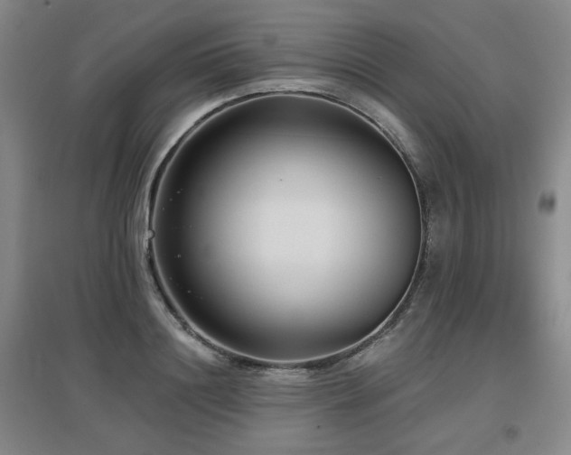 X0000097610844200802291300