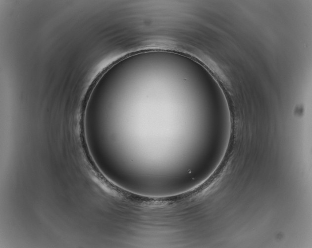 X0000097610846200802291300