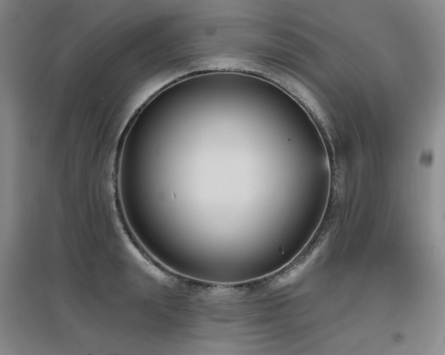X0000097610847200802291300