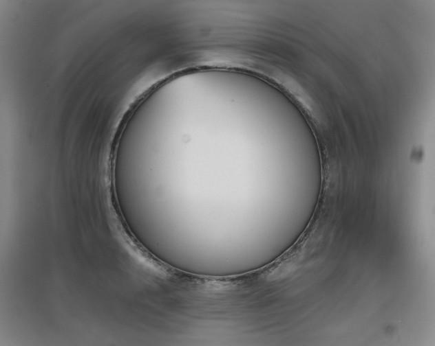 X0000097610848200802291300