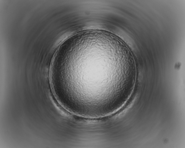 X0000097610849200802291300