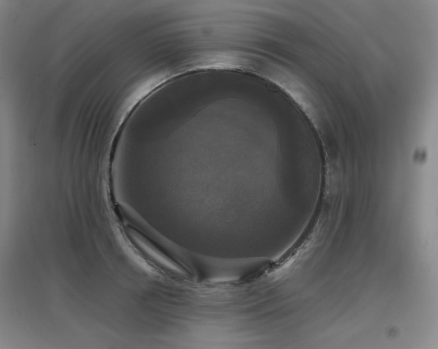 X0000097610850200802291300