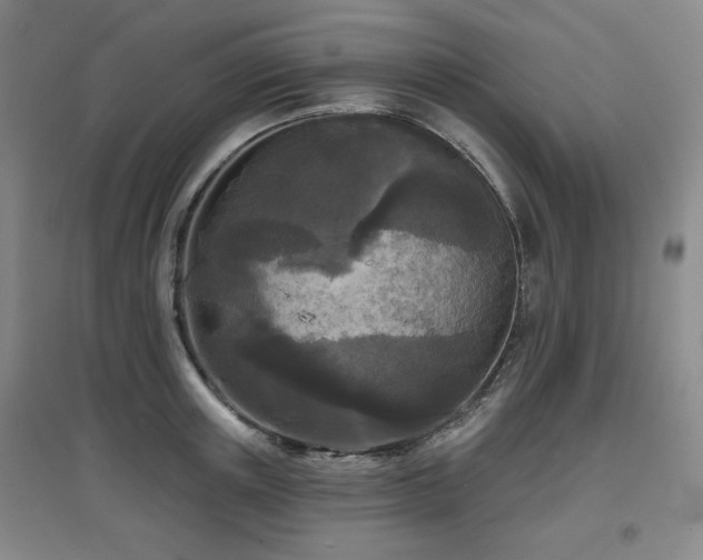 X0000097610851200802291300