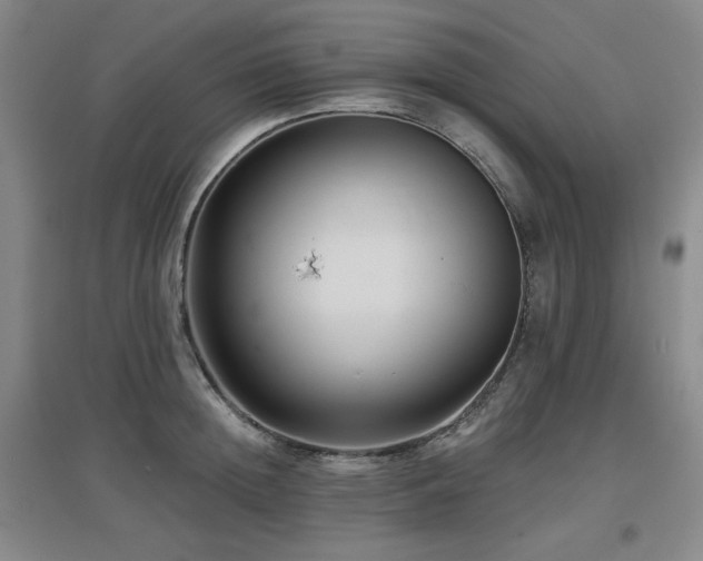 X0000097610852200802291300