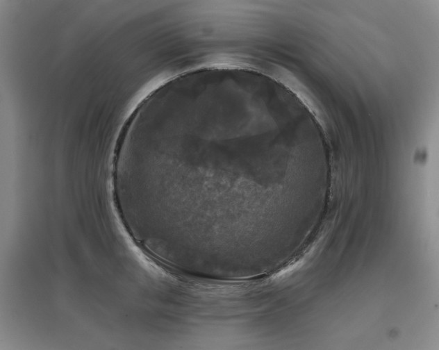 X0000097610853200802291300