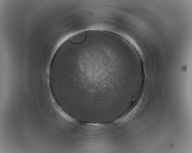 X0000097610854200802291300