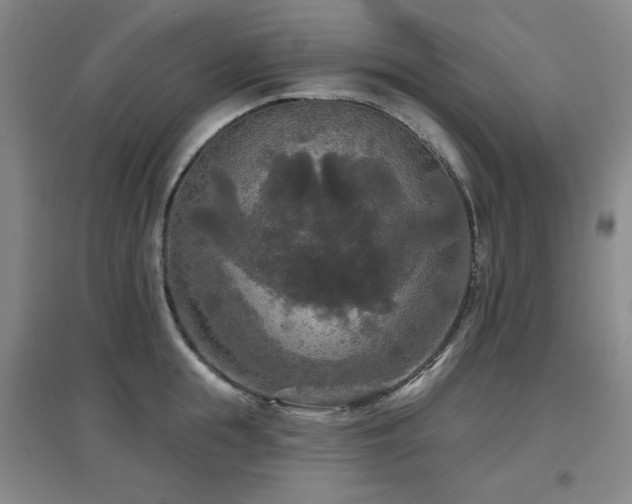X0000097610855200802291300