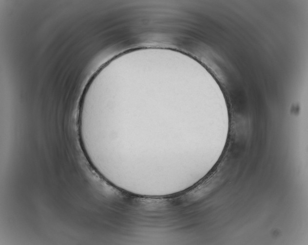 X0000097610856200802291300