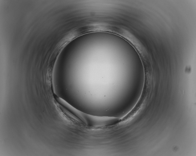 X0000097610857200802291300