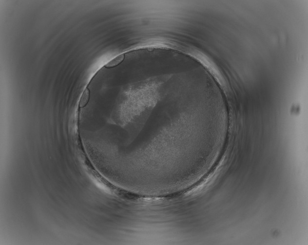 X0000097610858200802291300